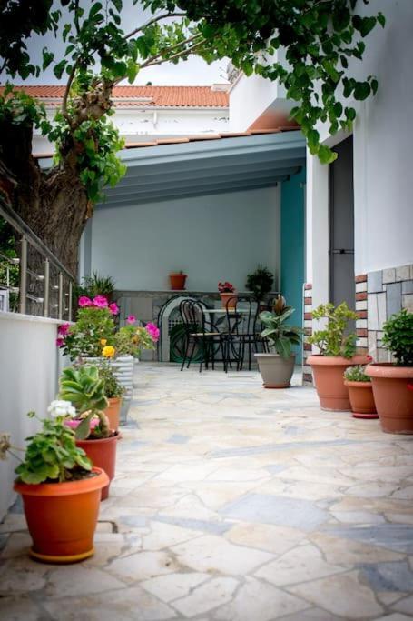 Spacious Apartment In The Heart Of Pythagorion المظهر الخارجي الصورة